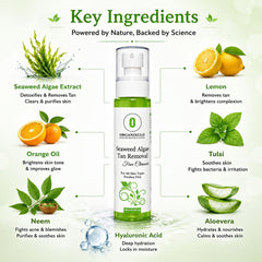 SEAWEED ALGAE TAN REMOVAL FACE CLEANSER 120 ML
