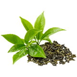 Green Tea Extract
